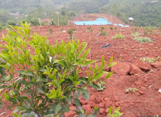 �����ϵһ���ļ������L��r�����r�ؿ���